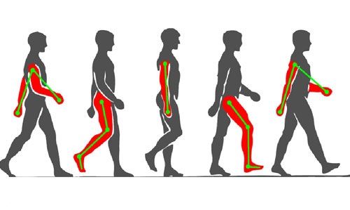 پدیدارشناسی پیاده‌روی